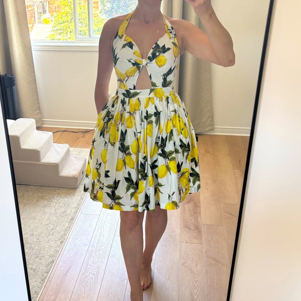 Hearts and Found Cotton a-line halter neck lemon 50’s dress - large